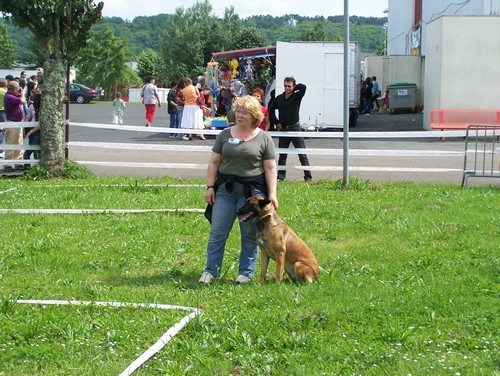 Vicky Du tison d'argence