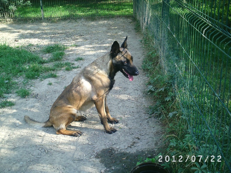 Gena Du tison d'argence